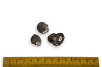 F 00307
<br/>
<br/>
<em></em>